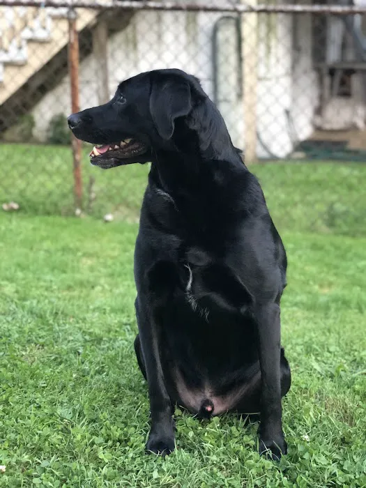 Bree's Animal Hospital 7