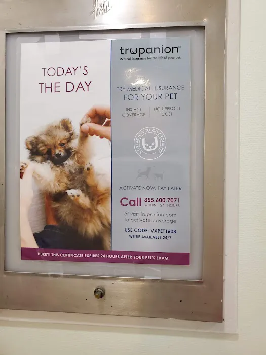 Rhawnhurst Animal Hospital 12
