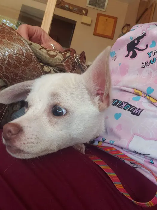 Noah's Ark Animal Hospital 12