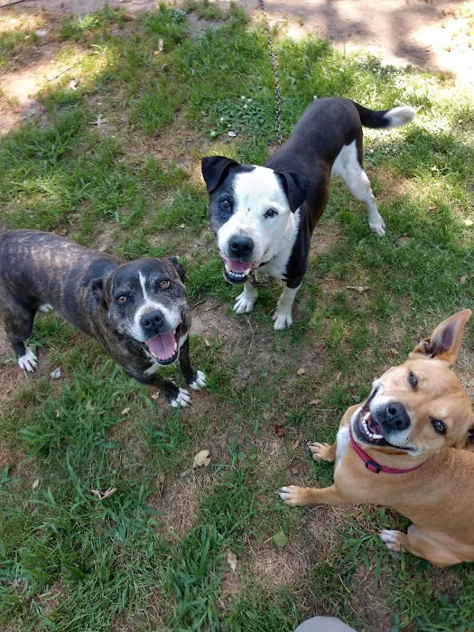 Noah's Ark Animal Hospital 12