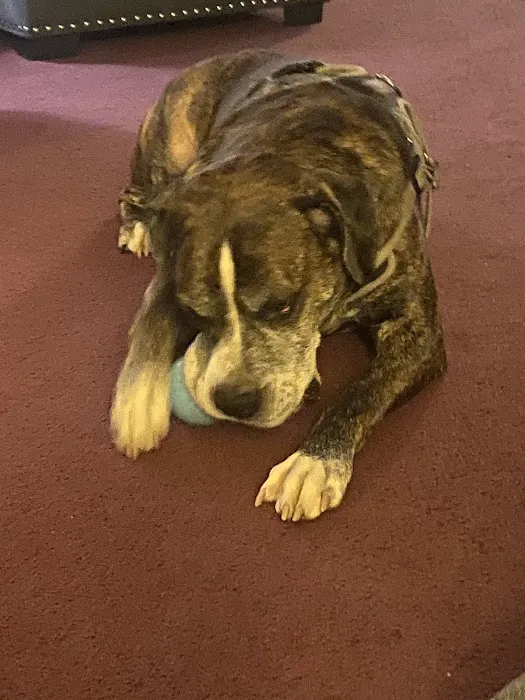 Terry Animal Hospital 7