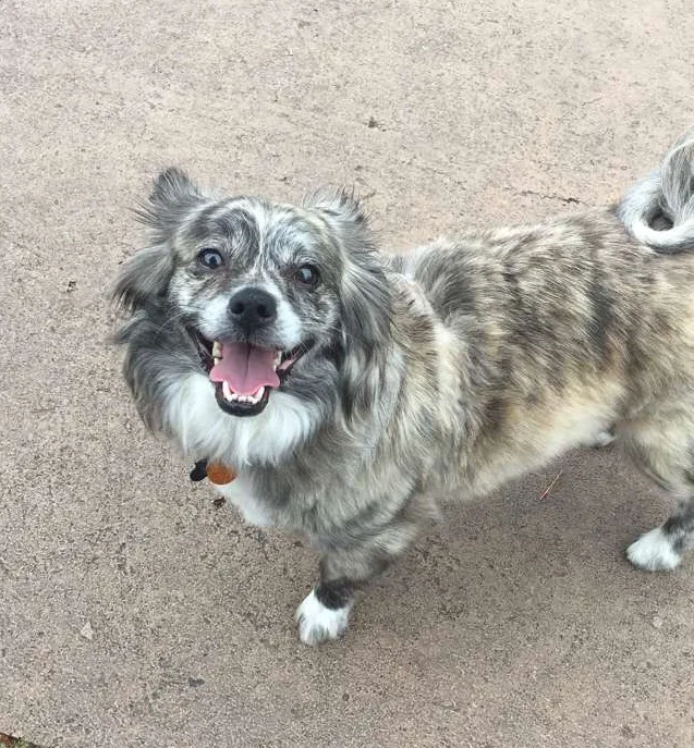 Terry Animal Hospital 4