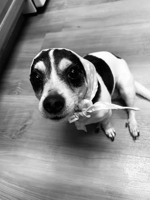 Terry Animal Hospital 8