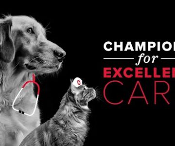 Stoney Creek Veterinary Hospital