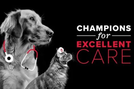 Stoney Creek Veterinary Hospital