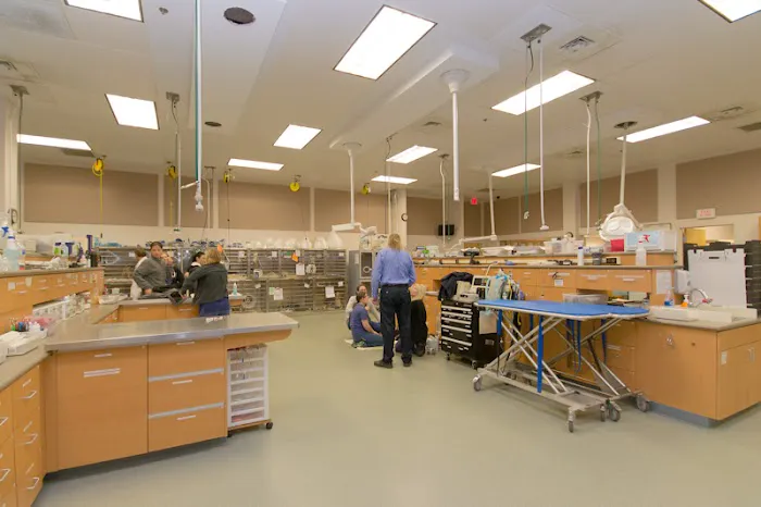 Metropolitan Veterinary Associates 3