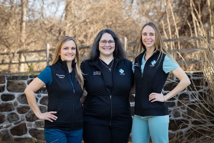 United Vision Pet Partners 1