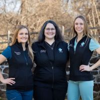 United Vision Pet Partners ico