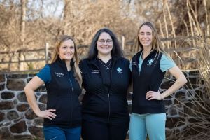 United Vision Pet Partners