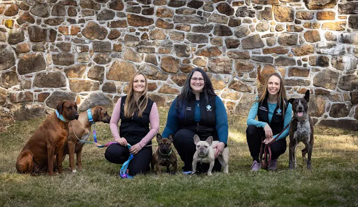 United Vision Pet Partners 6