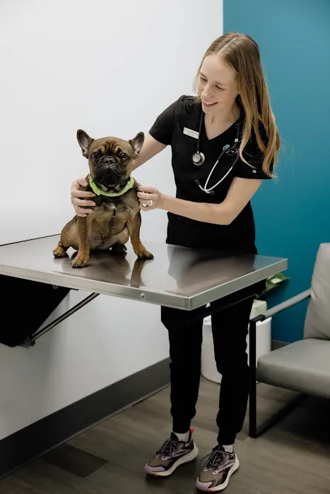 United Vision Pet Partners 3
