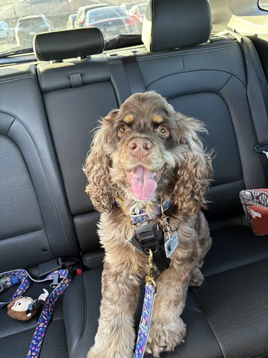 United Vision Pet Partners 7