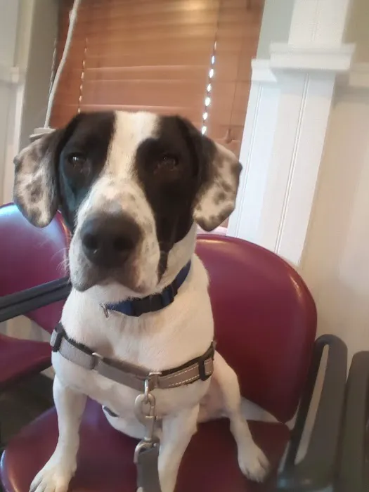 Prospect Park Veterinary 12