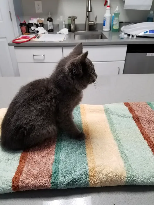 Prospect Park Veterinary 12