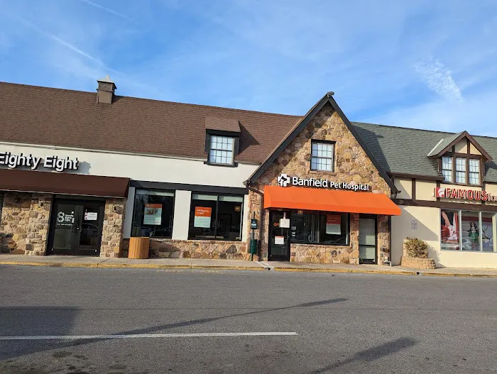 Banfield Pet Hospital 4