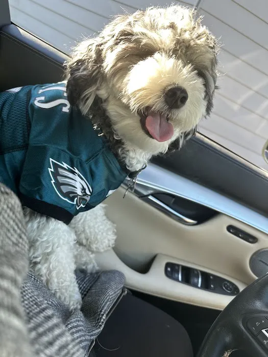 Banfield Pet Hospital 7