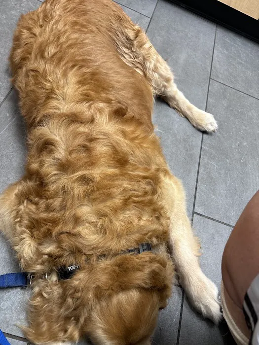Banfield Pet Hospital 8