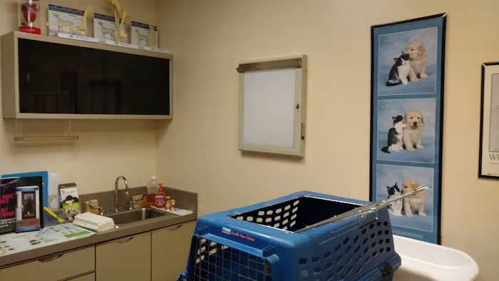 Aston Veterinary Clinic 3