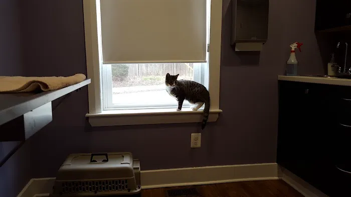 Unity Animal Hospital 2