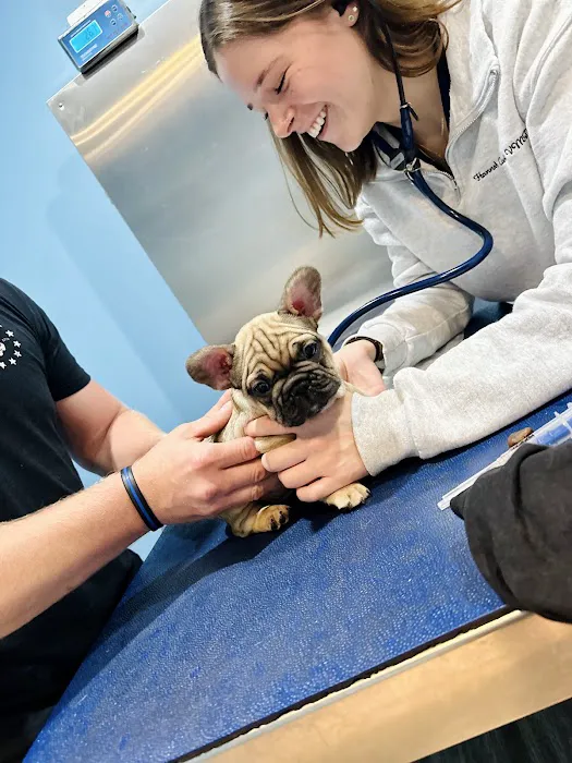 Agnew Veterinary Reproductive Services 7