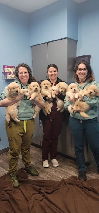 Agnew Veterinary Reproductive Services 2