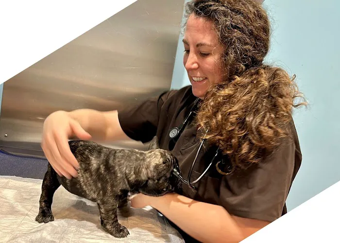 Agnew Veterinary Reproductive Services 3