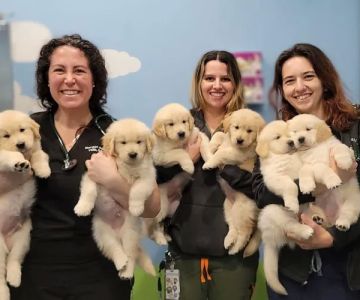 Agnew Veterinary Reproductive Services