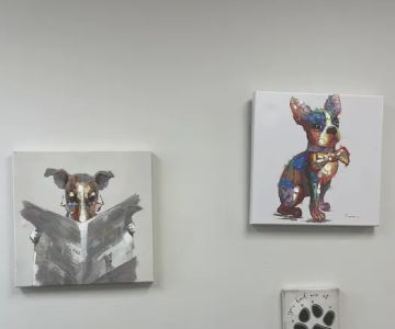 New Hope Animal Wellness Center