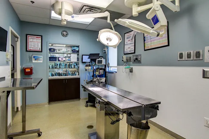 Thrive Pet Healthcare Urgent Care - Turnersville 3