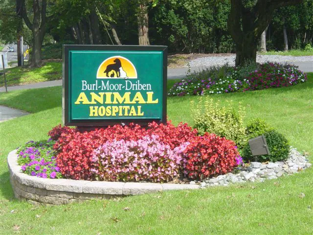 Burl-Moor-Driben Animal Hospital, LLC 1