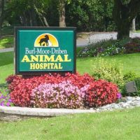 Burl-Moor-Driben Animal Hospital, LLC ico