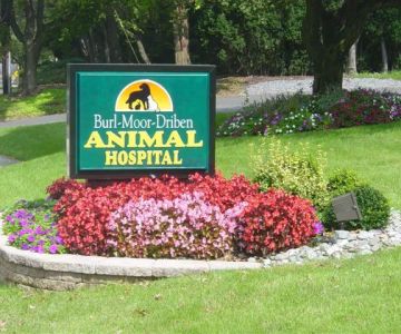 Burl-Moor-Driben Animal Hospital, LLC