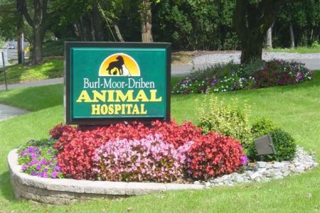 Burl-Moor-Driben Animal Hospital, LLC