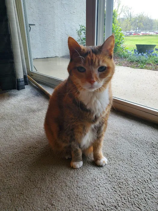 Burl-Moor-Driben Animal Hospital, LLC 9