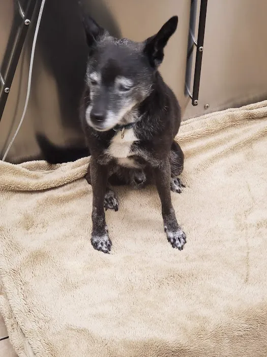 Burl-Moor-Driben Animal Hospital, LLC 7