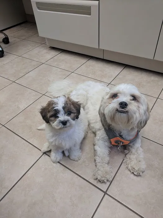 Burl-Moor-Driben Animal Hospital, LLC 6