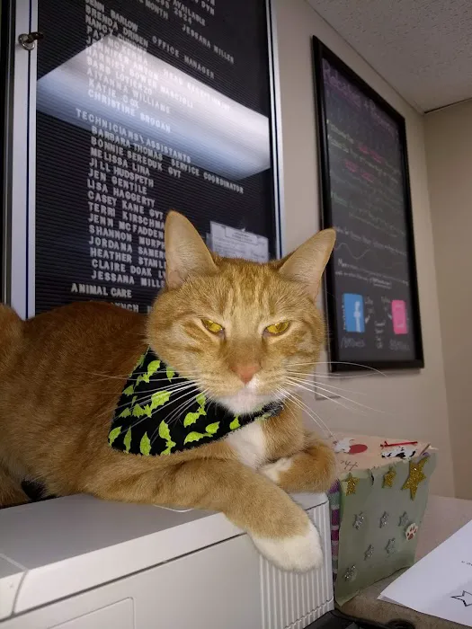 Burl-Moor-Driben Animal Hospital, LLC 10