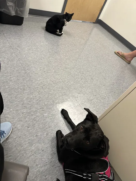 Rancocas Veterinary Associates 12