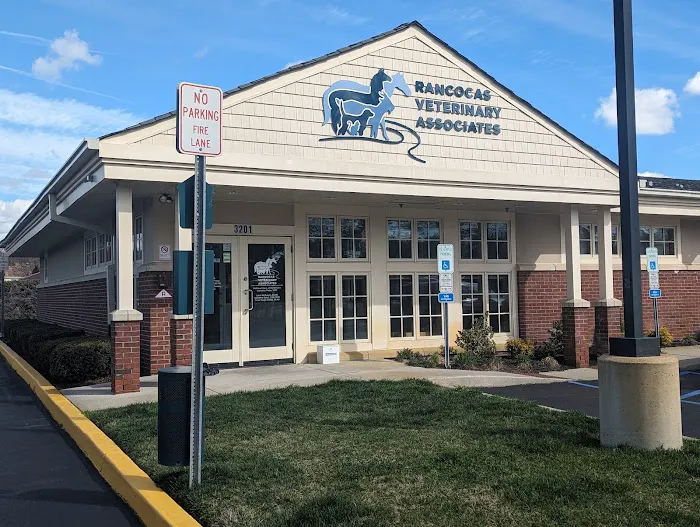 Rancocas Veterinary Associates 12