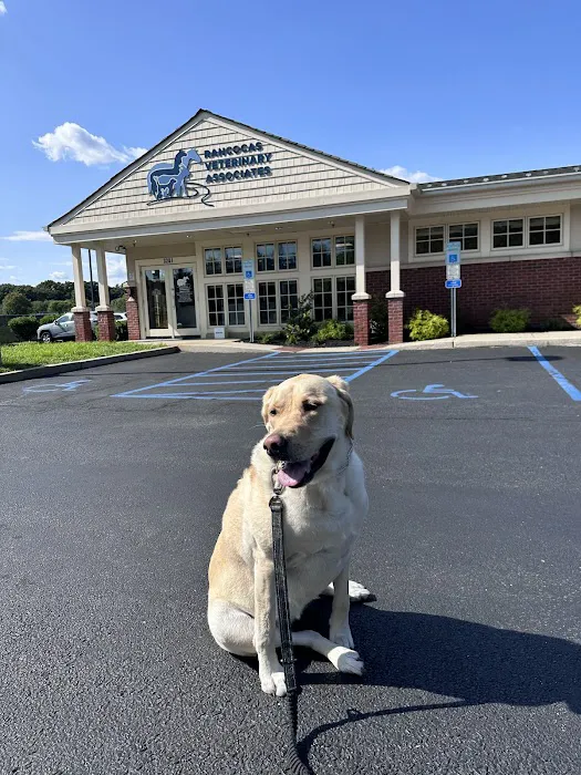 Rancocas Veterinary Associates 12