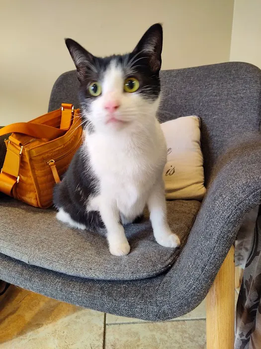 HousePaws Mobile Veterinary Service of Mount Laurel 2
