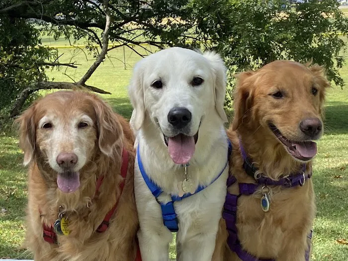 HousePaws Mobile Veterinary Service of Mount Laurel 6