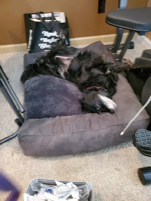 Larchmont Animal Hospital 6
