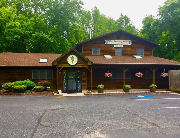 Village Veterinary Hospital 12