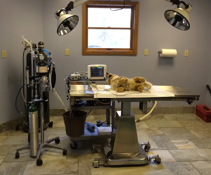 Village Veterinary Hospital 12