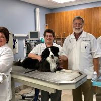 Village Veterinary Hospital ico