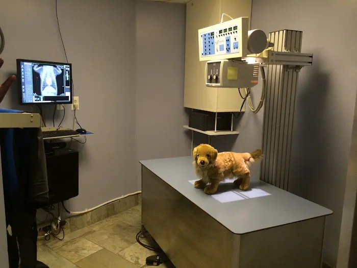 Village Veterinary Hospital 12