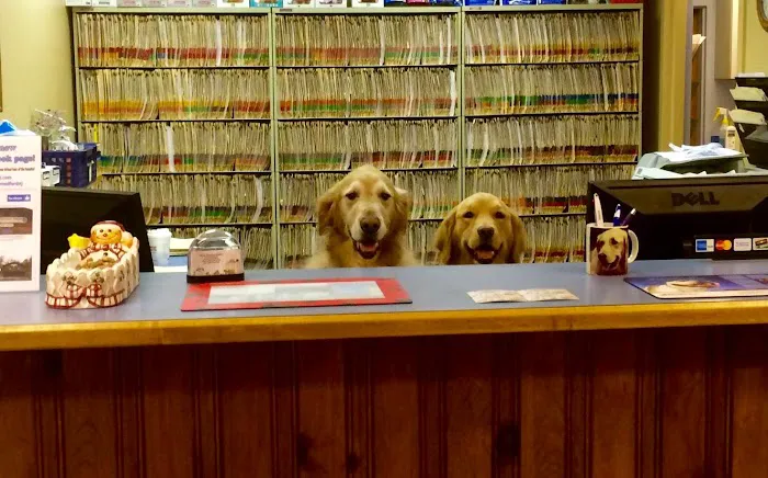 Village Veterinary Hospital 12