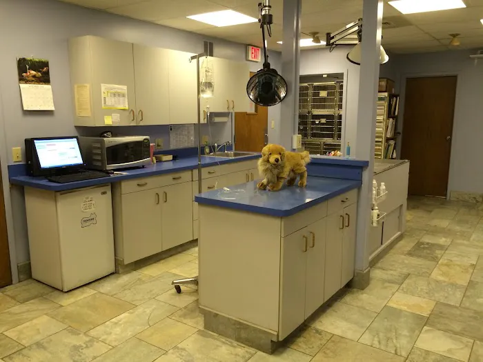 Village Veterinary Hospital 12