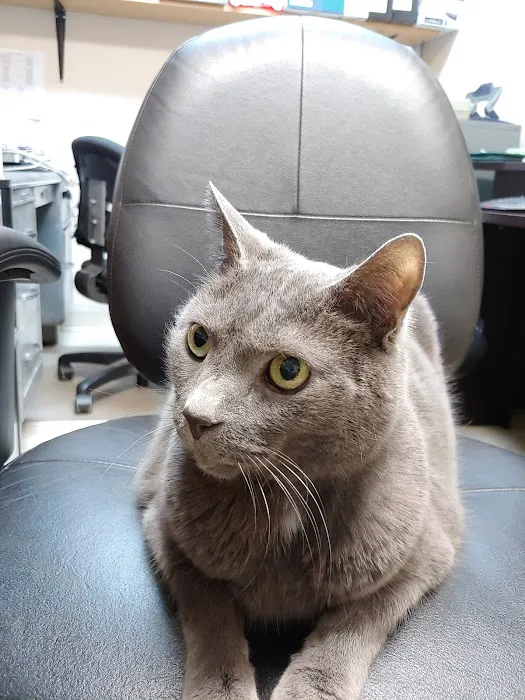 My Pet's Veterinary Center 8